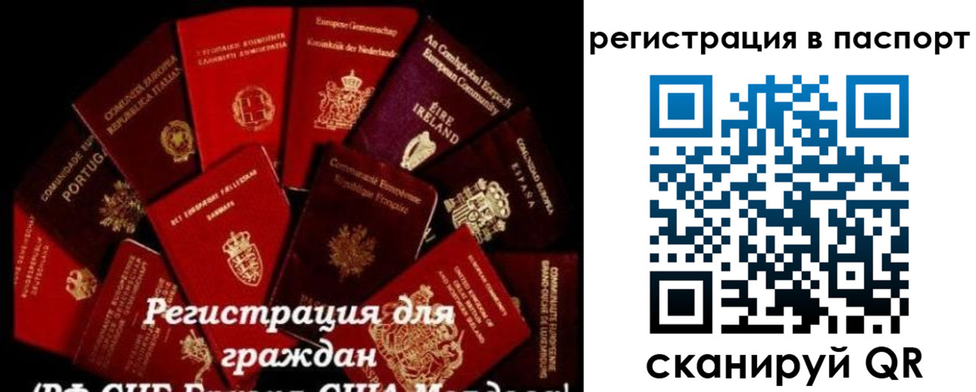 миграционный учет в Химках